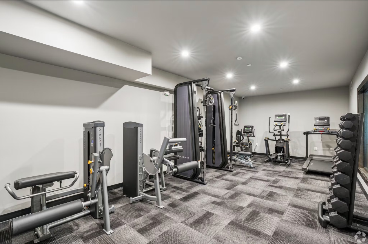 The Wave Gym